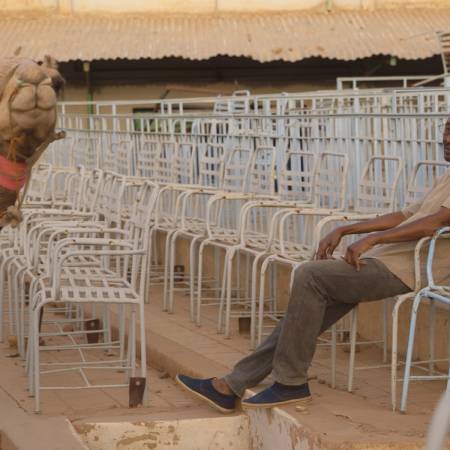 Bons Baisers du Sahara